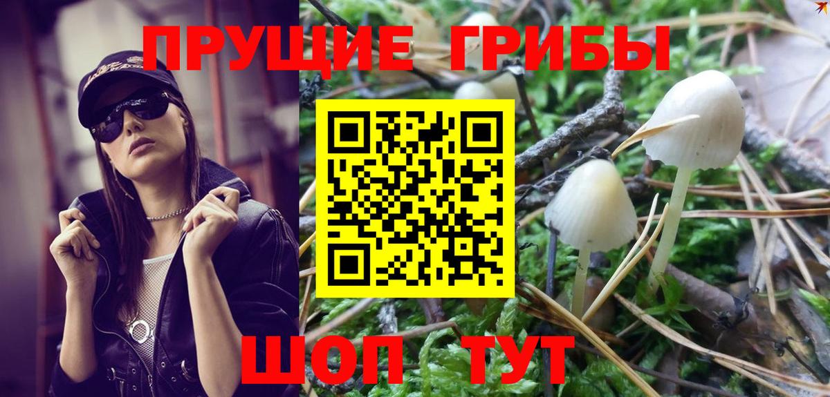 Волгоград  Псилоцибиновые грибы ЛСД  Псилоцибиновые грибы Psilocybine cubensis  Вход с VPN 